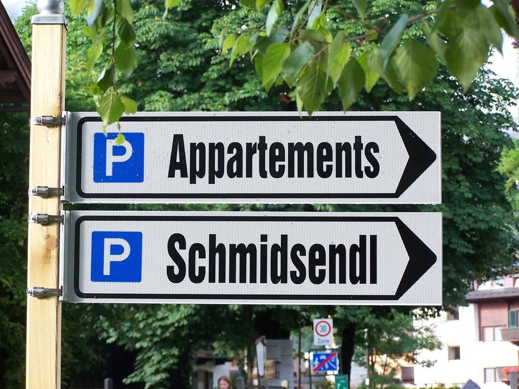 Appartements Schmidsendl Lofer Bagian luar foto